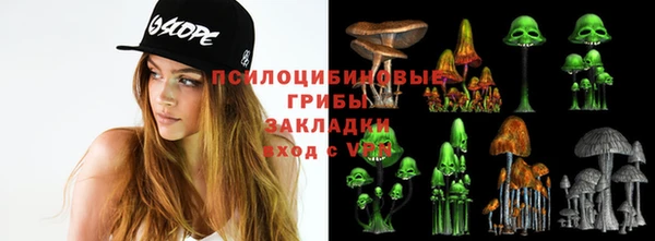 тгк Арсеньев