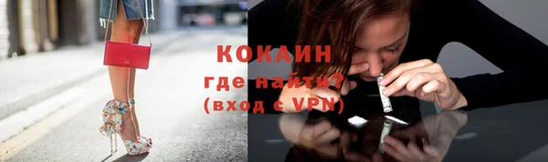 тгк Арсеньев